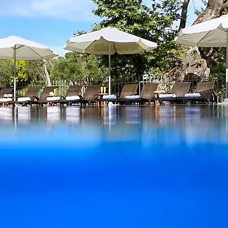 4-you 4* Ormília